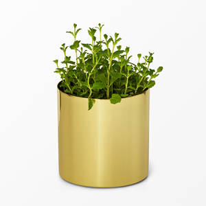 Florero Único con Acabado Brillante, Decoración de Mesa de Metal, Maceta y Florero, Centro de Mesa para Bodas - Product Image 3
