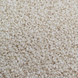 Graines de sésame les plus vendues en gros pour l'exportation mondiale - Product Image 6