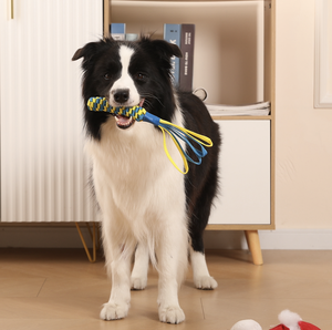 Interactive & Movement Pet Toys, jouets de nettoyage des dents, jouet durable pour chats et chiens - Product Image 4