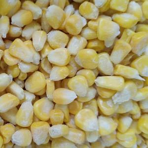 Granos de maíz dulce congelados IQF y verduras vietnamitas en conservación de agua a granel Tipo de fecha fresca - Product Image 1