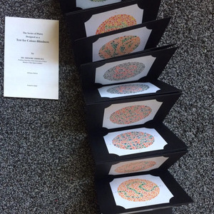 SS sản xuất nhãn khoa kiểm tra quang học tốt nhất mù màu Ishihara cuốn sách kiểm tra màu 38 tấm ishihaha cuốn sách thử nghiệm tàu miễn phí... - Product Image 6