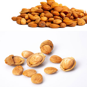 เมล็ดแอปริคอทหวาน | ตัวเลือกอาหารว่างจากธรรมชาติที่มีรสชาติละเอียดอ่อน - Product Image 6