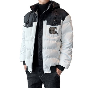 Veste d'extérieur homme hiver 2026 tendance, en coton imperméable réversible, col montant épais, chaud, avec revêtement en mélange de laine, grandes tailles - Product Image 1