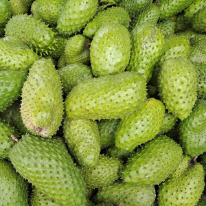 ทุเรียนเทศสดใหม่พรีเมี่ยมจากเวียดนามผู้จำหน่ายที่เชื่อถือได้สำหรับขายส่ง - Product Image 5