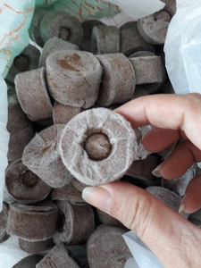 Granulés de coco Jiffy pour le semis de semis, la nutrition des semis, granulés de fibres de coco de haute qualité provenant d'un fabricant vietnamien - Product Image 2