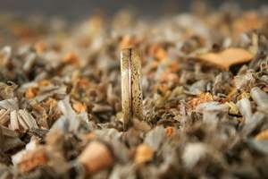 Bague en bois fait main-Bague en bois de hêtre-Design spécial-Cadeau pour elle et lui - Product Image 5