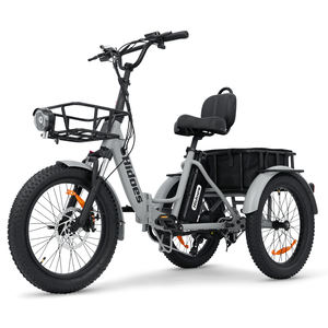 Bicicleta Eléctrica de Carga de Tres Ruedas HYBEE Hidoes T2 48V 17.4Ah 7 Velocidades - Product Image 1