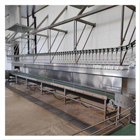 500-5000 BPH Machine d'abattage de poulet automatique Halal Abattoir de poulet pour ligne d'abattage de volaille