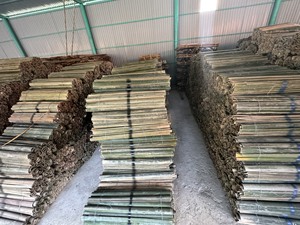 Meilleure vente Écologiquement Unique STRIP BAMBOO SPLIT - VIET NAM Strong BAMBOO SPLIT for Garden bamboo pole - Product Image 5