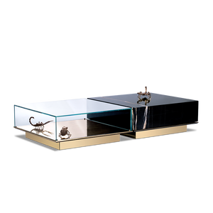 Contemporary Metamorphosis Center <b>Table</b> Durable Glass and Metal Home Furniture with <b>Mirrored</b> Feature for Living Room Use - Product Image 2