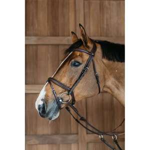 Brida trenzada Flash Noseband Brida de caballo de cuero genuino colorido de lujo en la India - Product Image 2