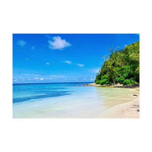 Bûche de hêtre pour la fabrication de meubles de qualité Bois polyvalent disponible en grande quantité Tarifs compétitifs - Product Image 1