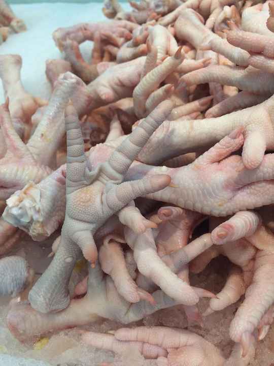 Frozen Whole Chicken  Feet Paws Wings drum stick  Frozen Chicken Feet