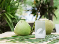 ÉCHANTILLON D'ESSAI GRATUIT Eau de coco fraîche aux fruits verts et bruns pour faire de la gelée, des bonbons ou des boissons