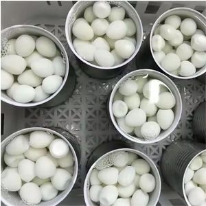 Fabricante de Vietnam de huevos de codorniz enlatados Proteína conveniente Huevos de codorniz hervidos en lata Fábrica OEM de Vietnam - Product Image 4