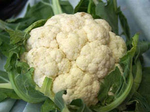 อัญมณีสีเขียว & สีขาวของเวียดนาม: บรอกโคลีออร์แกนิกส่งออกพร้อม - Product Image 6