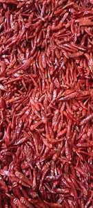 Piment rouge séché de haute qualité entier pour assaisonnement d'aliments épicés, qualité supérieure, poivre séché au soleil naturel, norme d'exportation, approvisionnement en vrac - Product Image 3