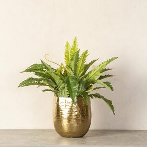 Macetero de oro metálico de lujo para sala de estar, hogar, restaurante, uso al mejor precio de la India - Product Image 5