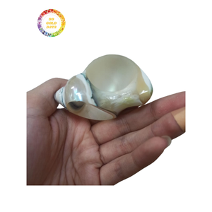 Anillo de Servilleta de Concha Marina de Lujo, Juego de Anillos de Servilleta de Concha Marina con Perlas para Decoración de Mesa de Hotel o Restaurante, Diseño Único - Product Image 3