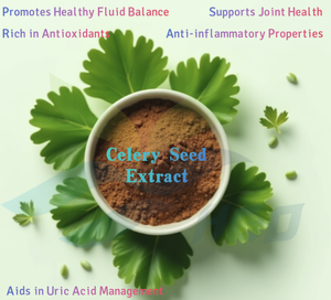 HGO Factory Fourniture directe d'extrait de graines de céleri naturel pur (qualité alimentaire) Spécification 10:1 (extrait de rapport) - Product Image 4