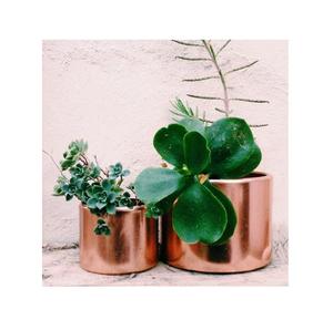 Lot de 2 jardinières antiques en argent faites à la main de forme et de taille personnalisées pour balcon, bureau et jardin, meilleure qualité à prix - Product Image 6