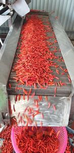 พริกแช่แข็งคุณภาพสูงในราคาที่ดีที่สุด - Product Image 5