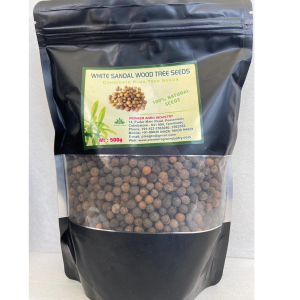 PIONEER AGRO White Sandalwood <b>Seeds</b> (Santalum Album) 99% Purity 1200 Seedlings/kg Grow Precious Sandal Trees - Product Image 1