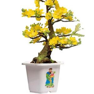 Maceta decorativa de plástico para plantas de bendición para el hogar y el jardín - Product Image 1