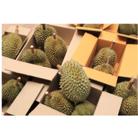 Verse Durian Monthong Gouden Kussen Durian Thailand Exporteert Goedkope Bulk 2023 Durian Op De Boerderij