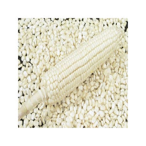 Maíz blanco no GMO, secado al aire maíz blanco, venta - Product Image 6