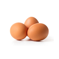 Œufs frais de poule de qualité supérieure en grande quantité pour une livraison rapide et une approvisionnement continu