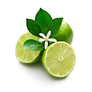 Etichetta personalizzata di vendita calda olio di calce di alta qualità (Citrus Aurantifolia) olio di buccia di Lime liquido esportazione dall'india