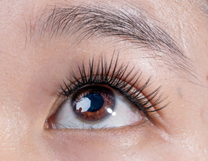 Venta al por mayor de alta calidad coreana PBT extensión de pestañas volumen a granel clásico Cachemira pestañas L M L + Curl by Nguyen Bao Tin - Product Image 6