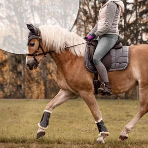 Fabrication de vêtements professionnels Gants d'équitation pour hommes Vêtements de sport Gants d'équitation pour hommes Gants d'équitation antidérapants - Product Image 5