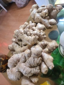 Bán Sỉ Gừng Tươi Ngon-Tiêu Chuẩn Xuất Khẩu Châu Âu - Product Image 4
