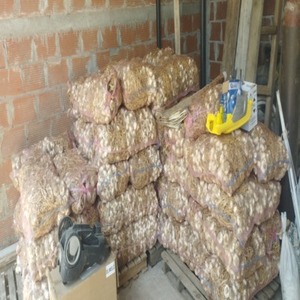 Ail frais pelé biologique en gros en provenance de Thaïlande avec une durée de conservation de 2 ans - Prix avantageux - Product Image 3