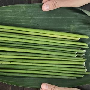 Producto agrícola pajitas de hierba con gran cantidad venta caliente en Vietnam con precio bajo - Product Image 6