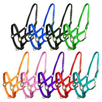 Haltères pour chevaux en PVC/Nylon/Biothene sur mesure, équipement d'équitation, sports de plein air, légers et réglables