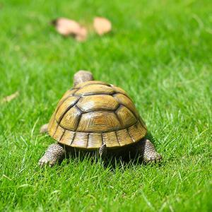 Bronze Tortue Figure Sculpture Décorative Pour Jardin En Métal Artisanat À La Main Tortue Objet Événement Fournitures Articles De Décoration - Product Image 6