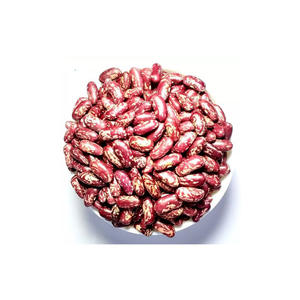 Cheap price Sugar <b>Beans</b> wholesale bulk supply export ready fresh harvest - Product Image 1