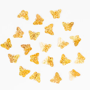 Sequin forme spéciale deux trous centrés couleur holographique, Selanusa - Product Image 1