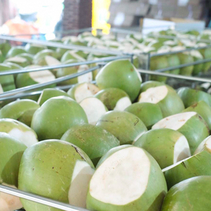 Offre Spéciale NOIX DE COCO FORME DE DIAMANT STYLE D'EMBALLAGE TROPICAL PREMIUM + 84 976727907 Mme Caroline - Product Image 5