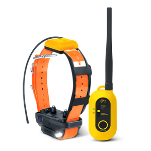 DOORSTEP DELIVERY Dogtras Pathfinder 2 Mini Compass <b>Dog</b> Collar Orange One Size new - Product Image 2