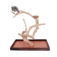 Articles phares : Perchoir pour oiseaux en bois de café naturel, perchoir en bois de Java pour perroquets, pour oiseaux de compagnie, en provenance du Vietnam, pour les grossistes