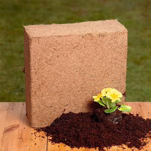 Porosidad superior llena de aire de turba de coco disponible que garantiza una estructura equilibrada para un crecimiento óptimo de las plantas-LOTO AZUL de Vietnam - Product Image 3