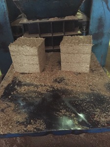 Copeaux de bois 100% pin bon marché, jaune clair, prix compétitif, copeaux de bois pour hamster - Product Image 3