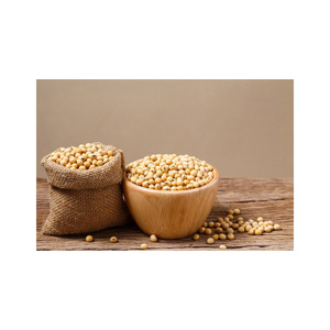 Cultivo orgánico de alto valor proteico Soja seca sin OGM Exportación a granel Suministro de soja sin OGM - Product Image 4