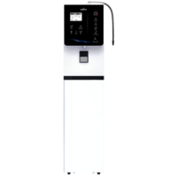 IonKing 912 Machine à eau alcaline domestique 220V Système ioniseur 9 plaques électrodes pH 4.5-11.0 Conception encastrable Filtre Vietnam