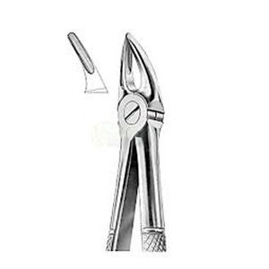 Forceps d'extraction en acier inoxydable de haute qualité pour racines supérieures, fig. 30 exportateurs et fabricants - Product Image 3