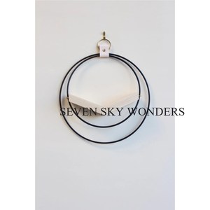 Maceta colgante de hierro y Metal de forma redonda de alta calidad hecha de marco de alambre, accesorio de maceta de decoración de balcón con revestimiento de polvo de Color negro - Product Image 2